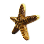 roro Handcarved Wood Starfish Wall Hanging: Natural Brown, Beach-Themed Coastal Decor - Perfect Ornament for Seaside Vibes and Maritime Home Accent