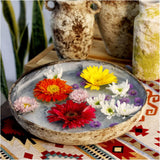 roro Modern Handmade Ceramic Centerpiece Bowl, 12 Inch Rustic Antique with Reactive Blue Inside