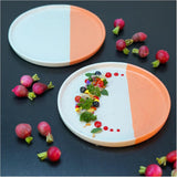 roro Modern Handmade Ceramic Dinnerware (Set of 2), 10.5" Ceramic Dinner Plates, White-Speckled and Salmon Orange Plates, Microwave, Oven and Dishwasher Safe Plates