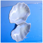 roro White Ceramic Canape Plate, Set of 2