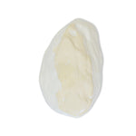 roro Handmade Ceramic Stoneware Oyster-Inspired Glossy White Canape Plates, 5.5 Inch | Perfect for Sushi, Tapas, Bruschetta & Appetizers Set of 2