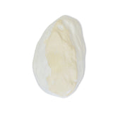 roro Handmade Ceramic Stoneware Oyster-Inspired Glossy White Canape Plates, 5.5 Inch | Perfect for Sushi, Tapas, Bruschetta & Appetizers Set of 2